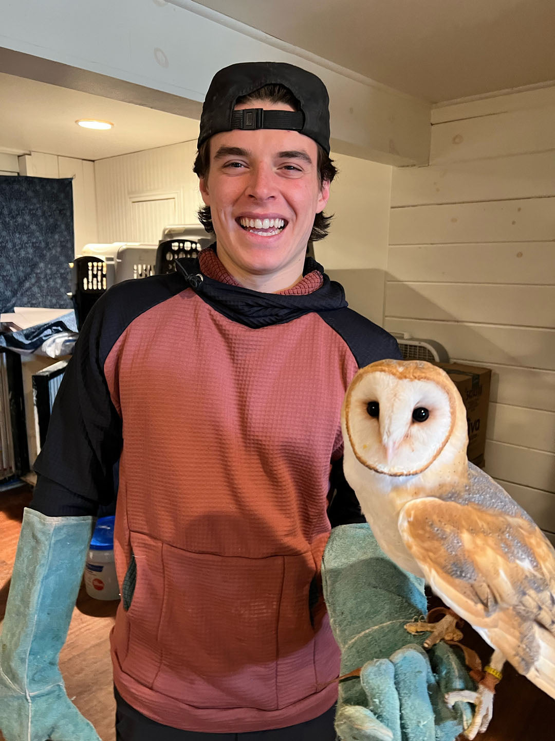 A man wearing a Black and Terracotta custom Thuja Burrow fleece hoodie and large gloves extends his arm with a Barn Owl perched on it.
